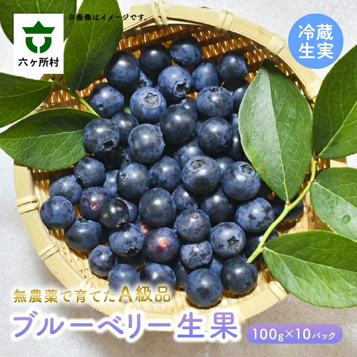 【ふるさと納税】《先行予約 2025年7月～順次出荷》生果 A級品 ブルーベリー 100g 10パックセット 果物 フルーツ 果実 ジャム スムージー 旬 新鮮 グルメ お取り寄せ ギフト お中元 お歳暮 ふるさと 返礼品 六ヶ所村 青森 送料無料 【福岡商店】