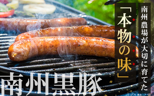 鹿児島県産 BBQ-BOX Ⅱ ハム ソーセージ ベーコン 詰め合わせ セット NS-25 | かごしま 黒豚 生ハム ボロニア ウインナー ソース ジャーキー おつまみ バーベキュー 焼き肉 低添加