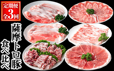 ＜定期便・全3回＞ 薩摩 トロ豚 食べ比べ 定期便 (合計5.5kg) 豚肉 【KNOT】 T61