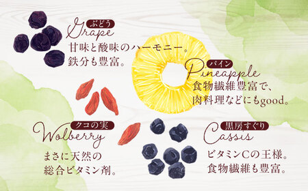 【3回定期便】生乾燥ヨーグルト用ミックス 中パック500ｇ【砂糖不使用】【多々楽達屋】ドライフルーツ 厳選 たたらちや 厳選 濃厚 砂糖不使用 果物 パイン レーズン マンゴー グレープ 杏 おつまみ