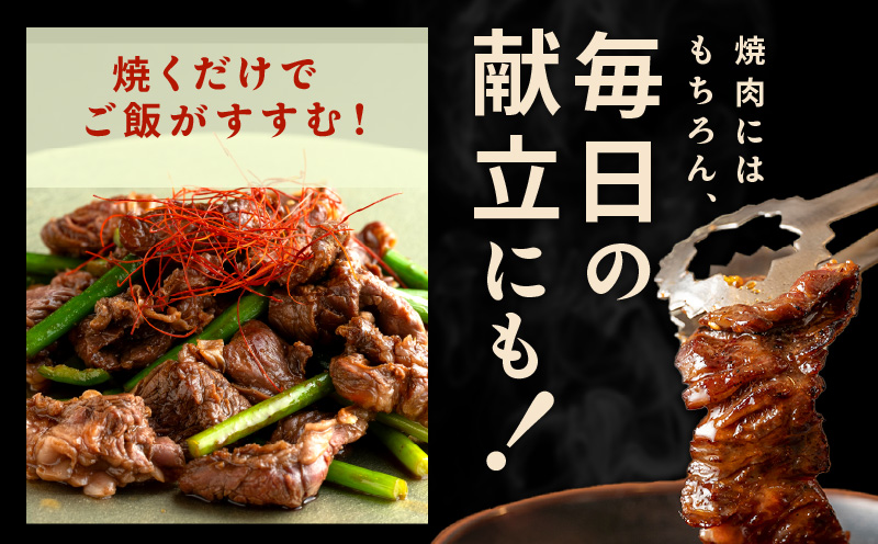 【スピード発送】焼き肉専門店 自家製タレ漬け ハラミ 合計500g（250g×2） G1598