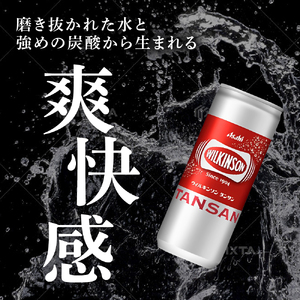 炭酸水 ウィルキンソン タンサン 250ml （20本入×2） ウィルキンソン炭酸 缶 箱 炭酸 水 炭酸飲料 ドリンク 飲料 ソーダ水 災害 防災 備蓄 ローリングストック 非常用 備蓄用 常温 常