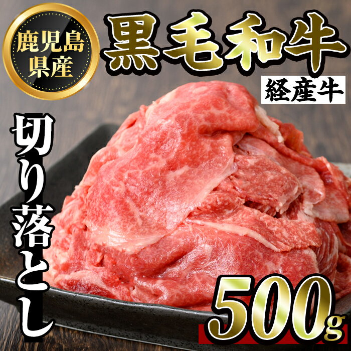 【ふるさと納税】鹿児島県産黒毛和牛(経産牛)おためし切り落とし(500g)牛肉 スライス 切落し 国産 鹿児島県産 黒毛和牛 肉 精肉 牛【ビーフ倉薗】