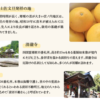 土佐市への寄付 (返礼品はありません) 高知県 土佐市 返礼品なし 1口 1000円  応援 寄付【土佐市役所】 [BQCD001]_イメージ4