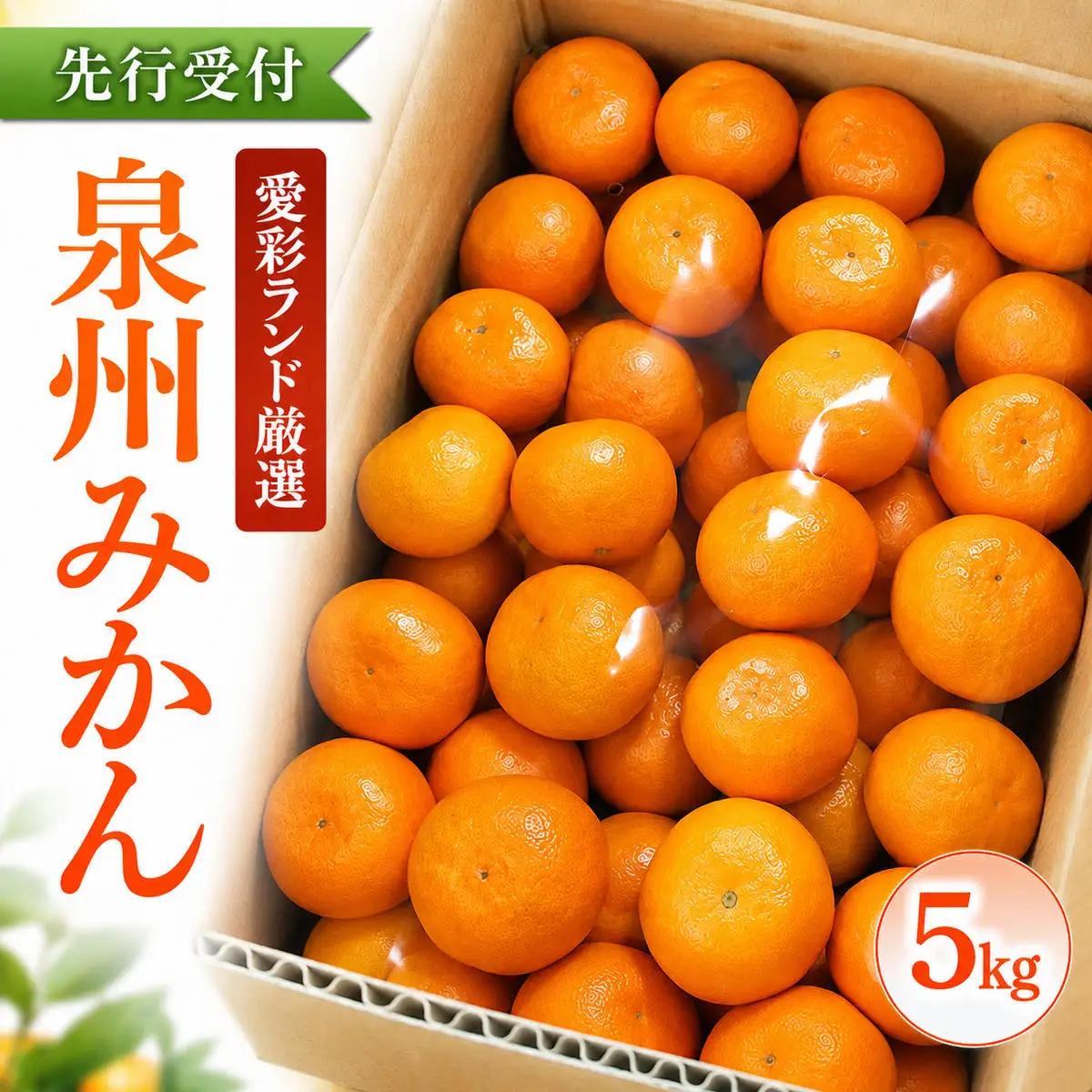 泉州みかん愛彩ランド厳選柑橘家庭用泉州みかん【5kg】【先行予約】