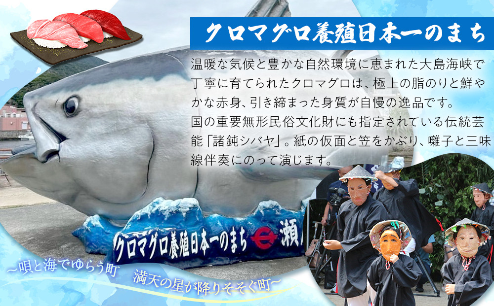 ＜奄美大島からお届け＞ざらめ糖 500g×12袋 セット