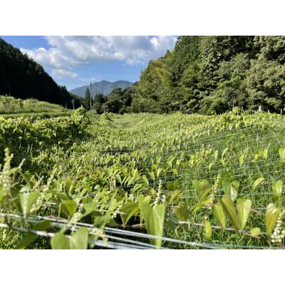 ふるさと納税 那珂川市 だしわりとろろ　20食セット(1食50g)　味付き　化学合成添加物不使用 |  | 03