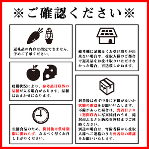 岩手県産 訳あり りんご 5kg 品種 おまかせ 4ヶ月 定期便 ／ ふじ シナノゴールド シナノスイート サンフジ はるか ジョナゴールド 王林 北斗 千秋 陽光 世界一 など オマカセ 旬 林檎 