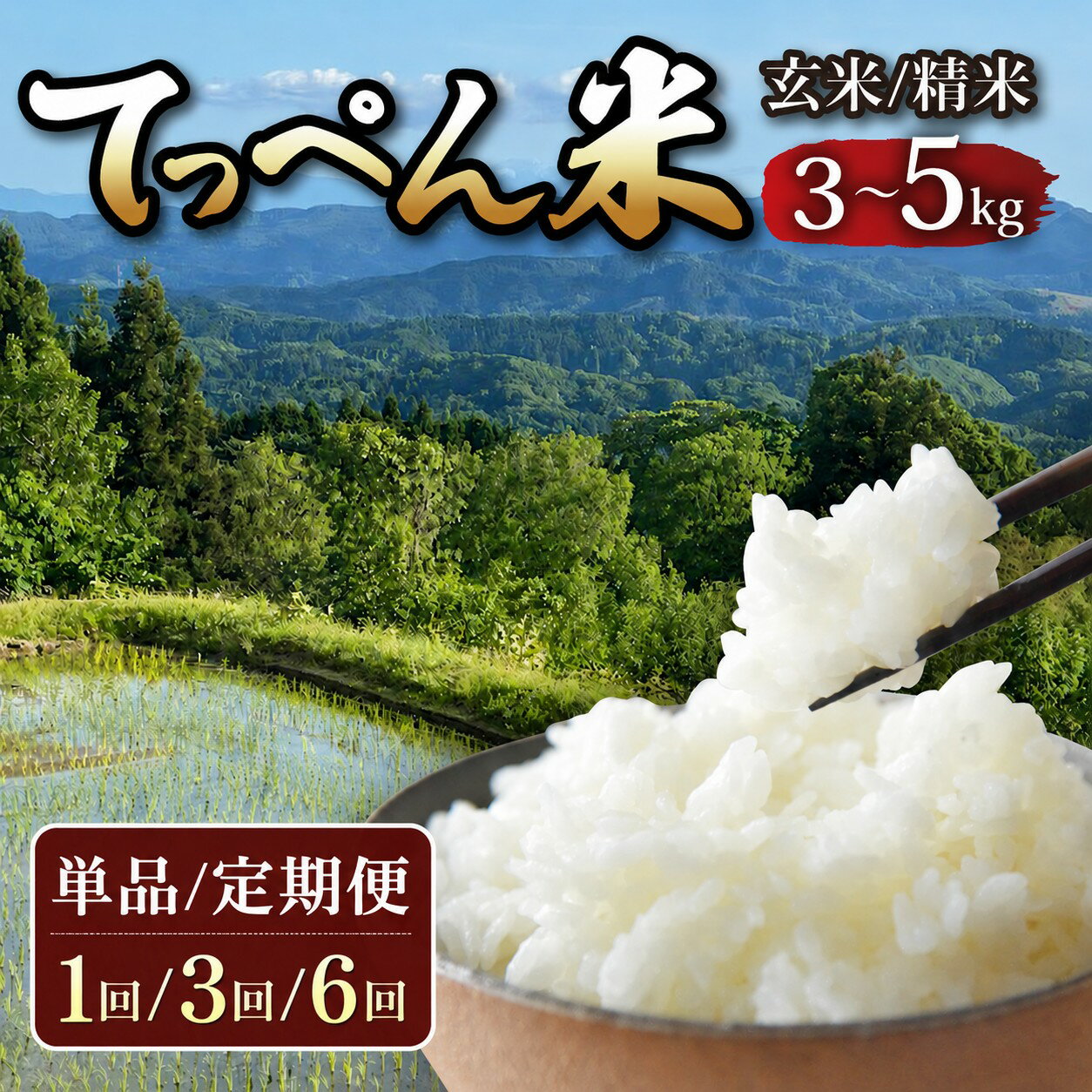 【ふるさと納税】 令和8年産 新米 コシヒカリ 精米 玄米 米 5kg 3kg / 先行予約 新米予約 選べる 定期便 6回 3回 こしひかり 神子原 てっぺん米 ふるさと納税 米 5kg 定期便 甘み ご飯 ごはん おにぎり | 石川県 石川 能登 羽咋 トキ 放鳥 朱鷺 支援 応援 お米 白米