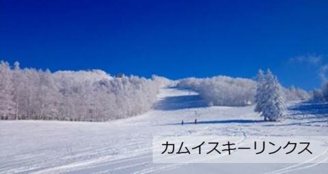 北海道旭川市ＡＮＡトラベラーズダイナミックパッケージ割引クーポン3,000点分