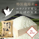 【ふるさと納税】＜令和6年産 新米＞特別栽培米 コウノトリ育む田んぼのお米 2kg×1袋〈村上ファーム〉お米 おこめ 米 こめ コメ ご飯 ごはん 白米 2キロ 兵庫県 朝来市 AS1AB6