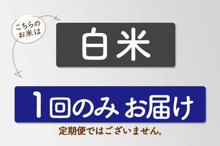 【白米】令和6年産 秋田県産 あきたこまち 環境保全米 10kg (10kg×1袋) 