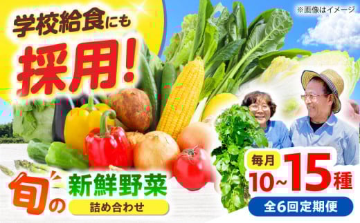 【全6回】【数量限定】厳選！旬を味わう高槻野菜おまかせ詰め合わせ定期便（10種～15種）　大阪府高槻市/高槻あぐり [AOCS020]