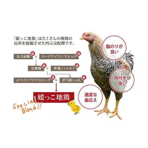 熊ヤン媛っこ地鶏のBBQセット