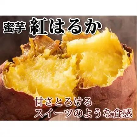 紅はるか 秀品(約10kg)(益城町)【1586864】