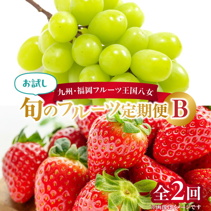 【ふるさと納税】九州・福岡フルーツ王国八女　お試し旬のフルーツ定期便【全2回】 B　あまおう シャインマスカット いちご 苺 果物 先行予約