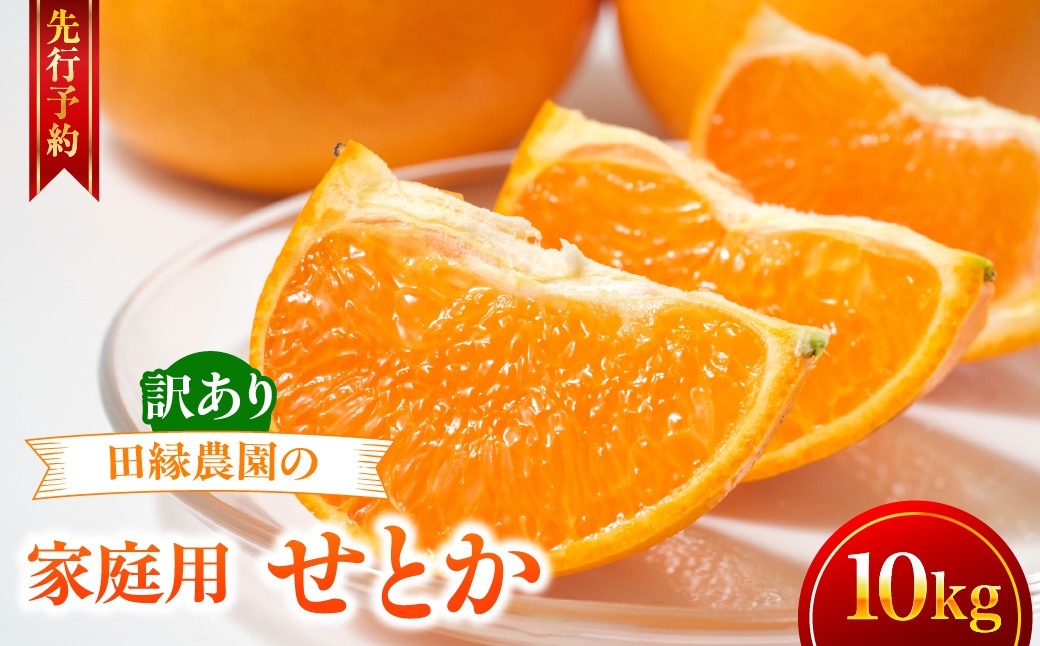 【先行予約】【家庭用】せとか 10kg ※離島への配送不可 （2027年3月5日より順次発送） IKTA038