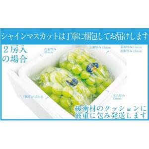 ぶどう 2026年 先行予約 9月・10月発送 シャイン マスカット 晴王 2房（合計約1kg）×2回 ブドウ 葡萄  岡山県産 国産 フルーツ 果物 ギフト