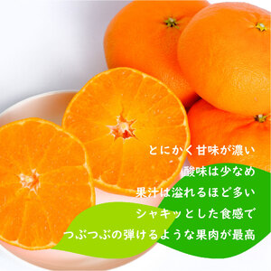 【2026年1月下旬ごろ順次発送】甘平 かんぺい 約 3kg | 柑橘 みかん 蜜柑 ミカン 愛媛 中島 オリジナル 柑橘 ブランド 高級 糖度【SHM0041】
