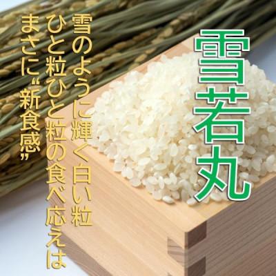 ふるさと納税 小国町 【令和7年新米先行予約】雪若丸10kg(5kg×2袋)精米　山形県小国町産　小国米穀商業協同組合 |  | 01