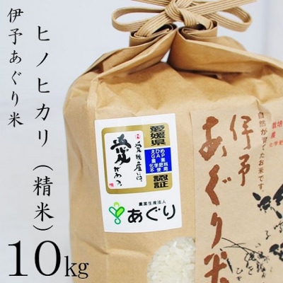 ★令和5年産発送★　伊予あぐり米「ヒノヒカリ」(精米10kg)