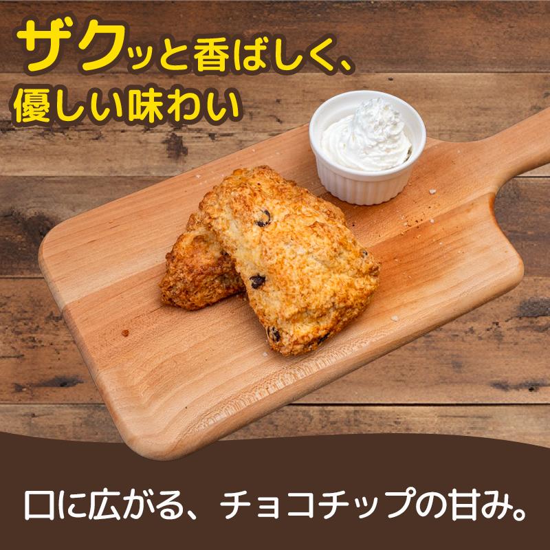 スコーン 7個 セット チョコチップ 焼き菓子 お菓子 チョコ 焼菓子 おやつ 洋菓子 デザート スイーツ 人気 発酵 バター コク 風味 穀物 すこーん 冷凍 手土産 ギフト プレゼント 手作り 紅