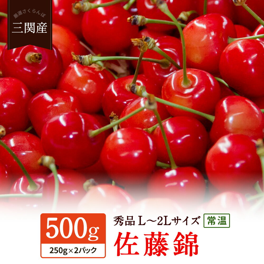 【ふるさと納税】若手生産者厳選朝採りさくらんぼ！佐藤錦 250g×2(秀L～2Lサイズ)[B3-3201]