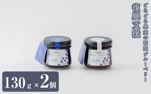 【復興支援】ごろごろ果実の能登ブルーベリー（甘さひかえめ、砂糖不使用２個セット）