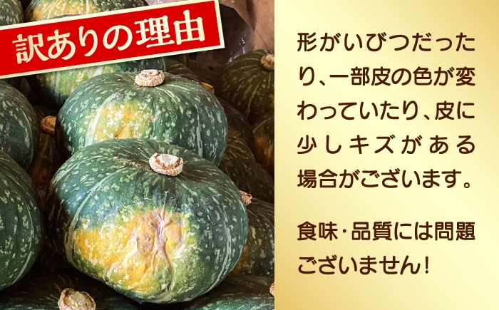 かぼちゃ 南瓜 カボチャ ぱんぷきん pumpkin パンプキン 野菜 やさい