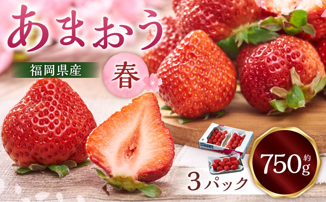 
                  福岡産【春】あまおう3パック いちご 苺 イチゴ 果物 くだもの フルーツ 冷蔵 【2027年2月上旬～3月下旬発送予定】
                