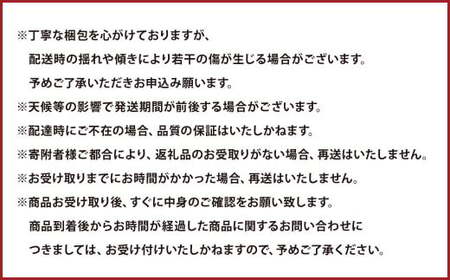 熊本県産 デコポン 5kg【2025年1月上旬発送開始】