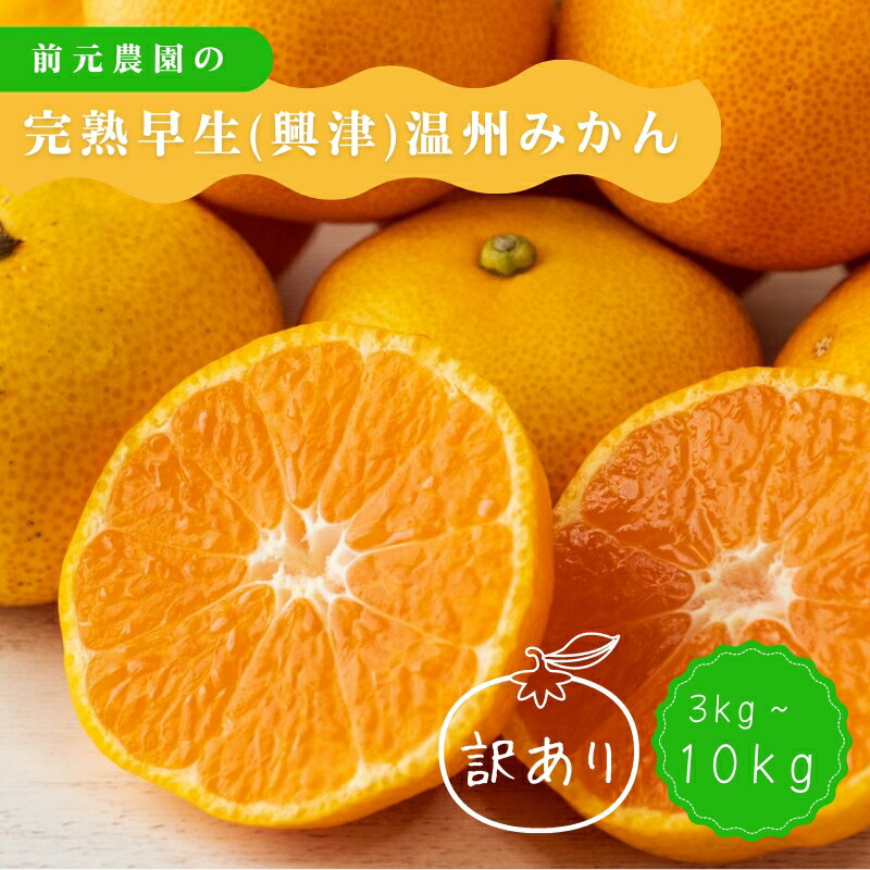 【ふるさと納税】 【サイズ・容量が選べる】訳あり 前元農園の完熟早生(興津) 温州みかん 3~10kg s-M or L サイズ【12月初旬〜下旬に順次発送】/ くだもの フルーツ 果物 家庭用 人気 みかん ミカン 蜜柑 柑橘 訳あり わけあり 数量限定