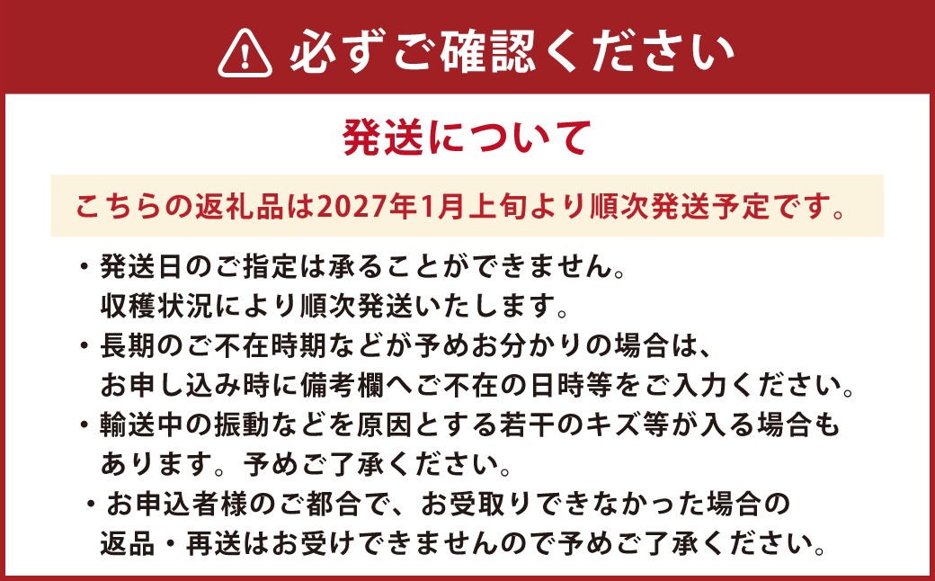 朝摘み当日発送！熊本県産いちご(ゆうべに) 約500g (250g×2パック）