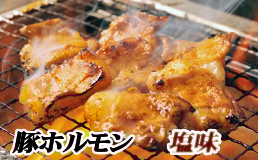 B-76023【12/21まで年内配送】 味付け豚ホルモン(塩味)250g×6P