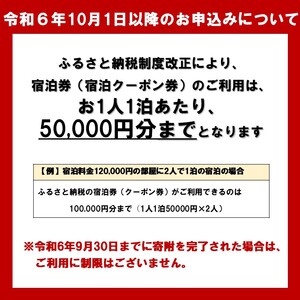 宿泊券 グランピング 宮津 天橋立 25000円 宿泊券