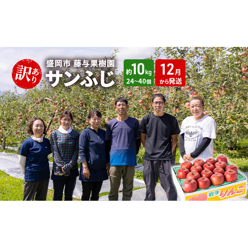盛岡から「農で人をつなぐ」藤与果樹園：《訳アリ》サンふじ10kg 藤与果樹園 訳アリ 不揃い 傷 規格外 フルーツ 果物 旬のフルーツ 旬の果物 旬 冬 岩手 盛岡 産地直送 11月から発送