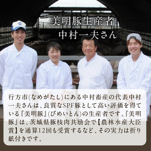 【2025年1月中旬より順次発送】★数量限定★餃子 美明豚「びめいとん」のジューシー餃子 1袋(30個入り)｜餃子 ぎょうざ ギョウザ 美明豚 数量限定 びめいとん 肉 肉加工品 豚肉 お肉 ジューシ