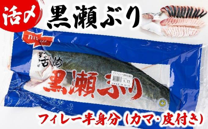 KRBF15 活じめ！黒瀬ぶりの生鮮ブリフィレー 1.5kg前後 (2026年1月発送)