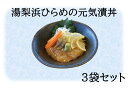 【ふるさと納税】湯梨浜ひらめの元気漬丼3袋セット