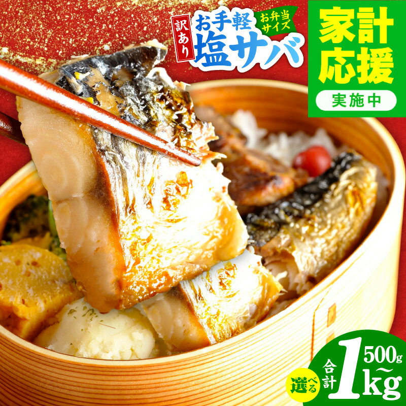 【ふるさと納税】【家計応援企画実施中!】 塩サバ 選べる 内容量 500g / 1kg 1パック250g 小分け 魚 青魚 さば 切身 ノルウェー産 塩焼き 焼き鯖 高タンパク質 栄養豊富 冷凍 おかず お弁当 惣菜 食べきりサイズ ごはんのお供 お取り寄せ 訳あり 大阪府 泉佐野市 送料無料