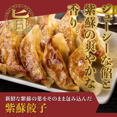 ふるさと納税 富士市 紫蘇餃子(30個)とニンニクのスタミナ餃子(30個) [sf001-224] |  | 01