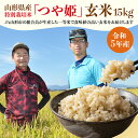 【ふるさと納税】[令和5年産] JA山形市の「プレミアムつや姫」 玄米 (特別栽培米) 15kg FY22-573 山形 お取り寄せ 送料無料 ブランド米