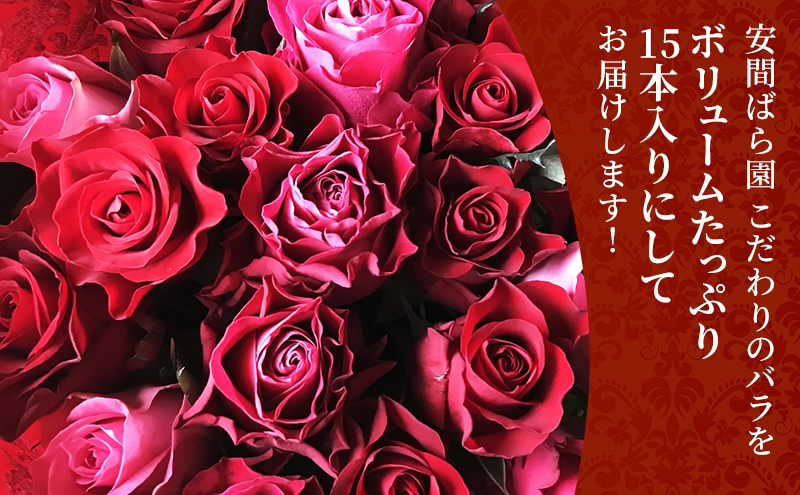 【2026年8月中旬から順次発送】安間ばら園 こだわりの バラ おまかせ詰め合わせ約15本入 クール便 花 ギフト 誕生日 記念日 花束 プレゼント バラ フラワーギフト
