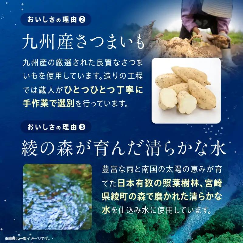 焼酎 木挽BLUE 焼酎[【最速便】木挽BLUEハイボール 1箱(24本) お酒 酒 アルコール ハイボール 缶 ソーダ割り 食中酒 糖質ゼロ]