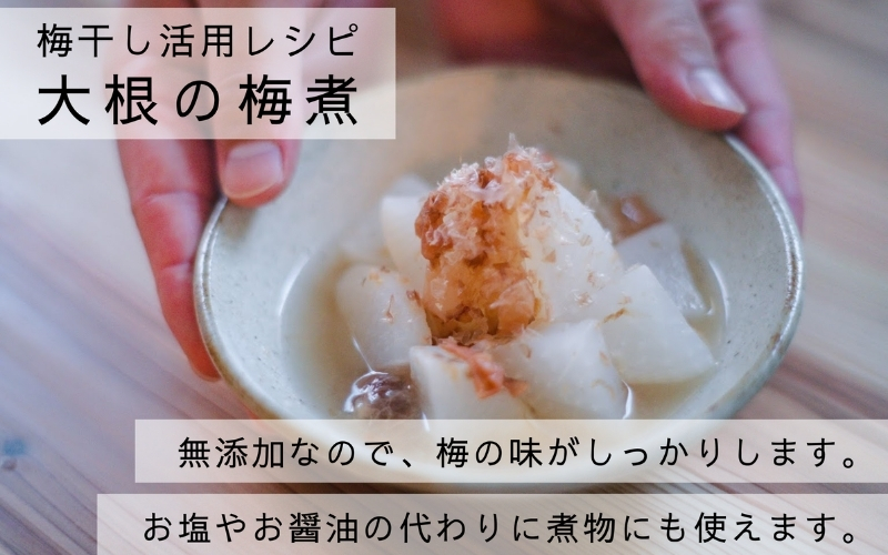 【梅ボーイズ】無添加 紀州南高梅の梅チューブ140g×2本セット（塩・紫蘇）天日塩使用 umehkr019