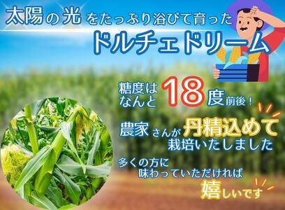 ドルチェドリーム 6本入り【2025年6月上旬から発送】REGALO[5530-0396]