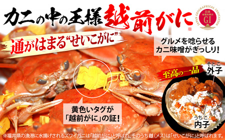 浜茹で 越前せいこがに≪松セット≫3～4人前 かに酢 食べ方しおり スプーン付き【雌 ズワイガニ】【カニ 越前ガニ セコガニ カニみそ】【特大サイズ：220～240g × 3杯（※茹で前重量）】【12