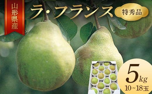 《2026年産 先行予約》山形県産 ラ・フランス 5kg 10～18玉 特秀品 FSY-2135