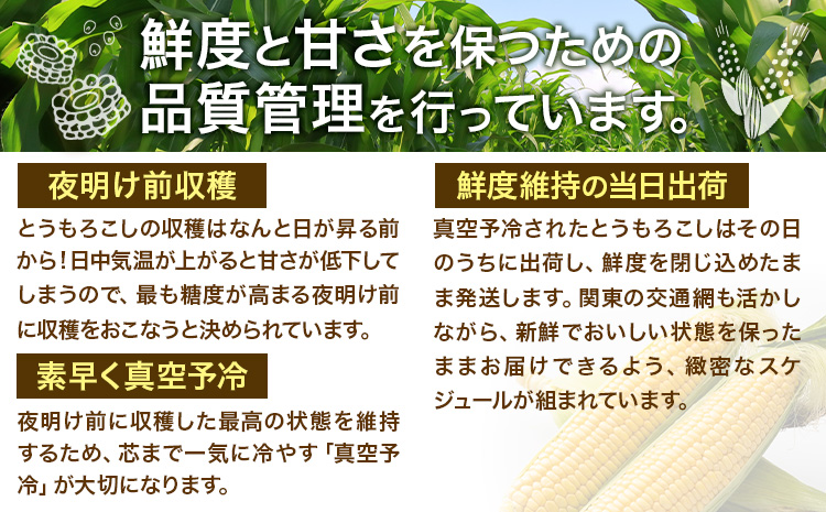 新登場★ トウモロコシ 味来 【収穫後当日出荷！】 夏祭り 約5kg 13本前後《6月中旬-7月中旬頃出荷予定》 茨城県 結城市 野菜 甘味が強い 柔らかい ジューシー フルーティー 夏野菜 コーン【