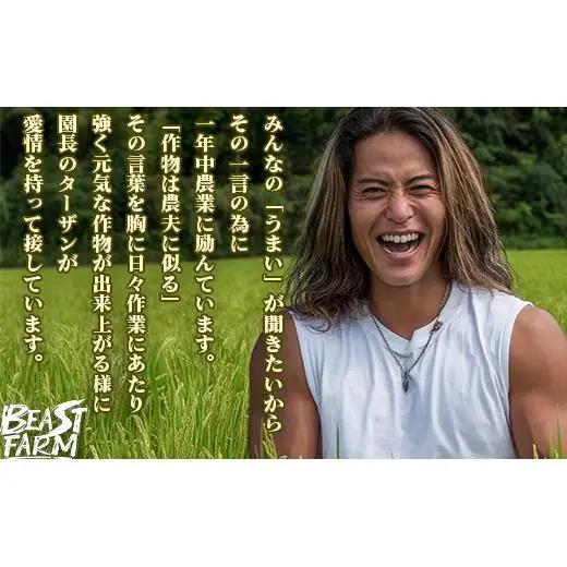 【コシヒカリ 令和8年度新米】コシヒカリ10kg